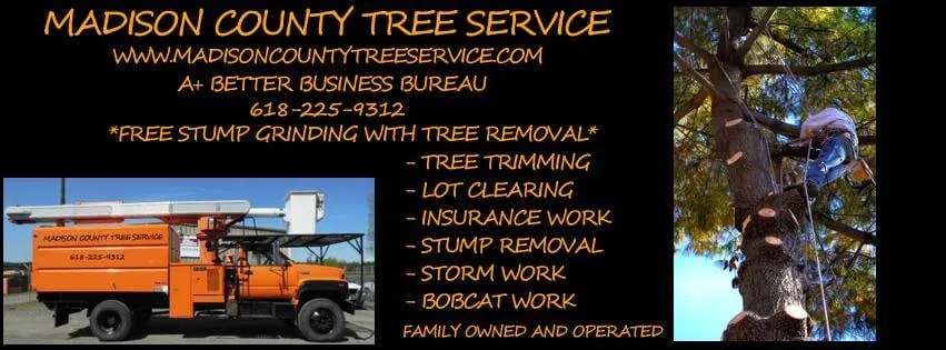 Trusted landscape design experts serving Cottage Hills, IL - Madison County Tree Service