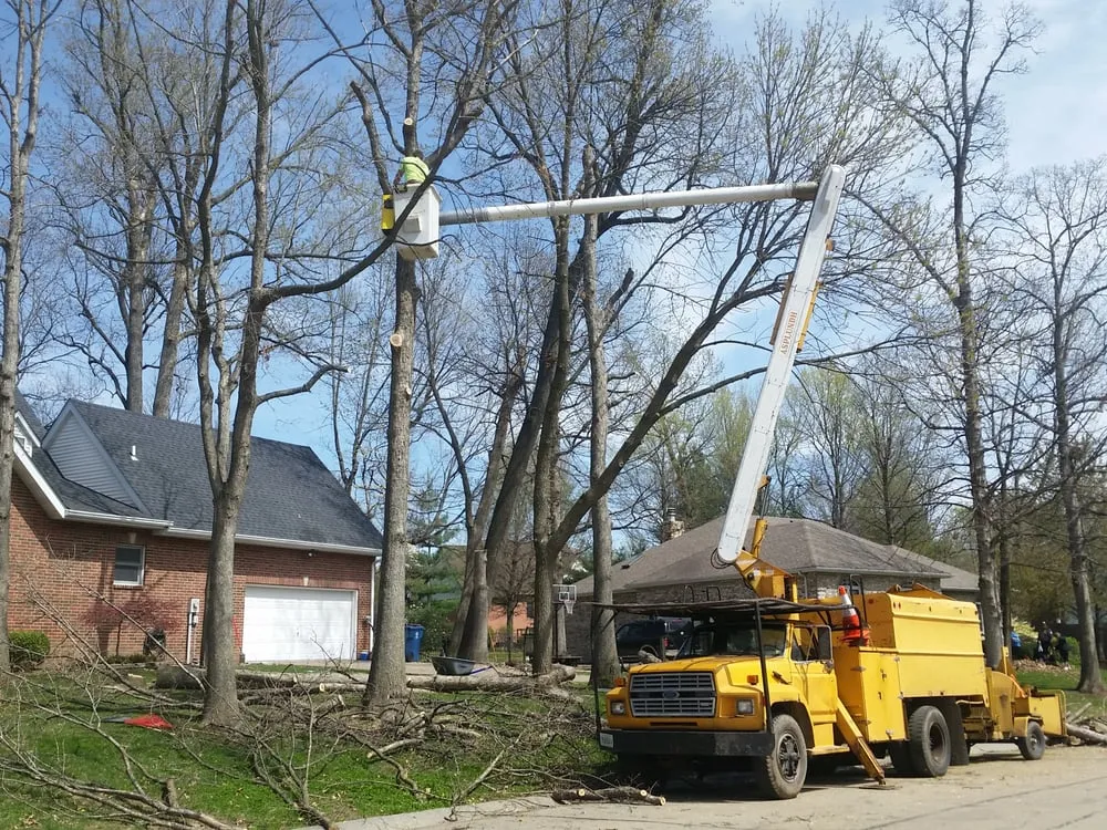 Local lawn care service in Cottage Hills, IL - Madison County Tree Service