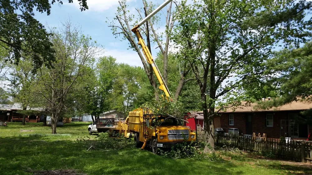 Expert lawn care service for homes across Cottage Hills, IL - Madison County Tree Service