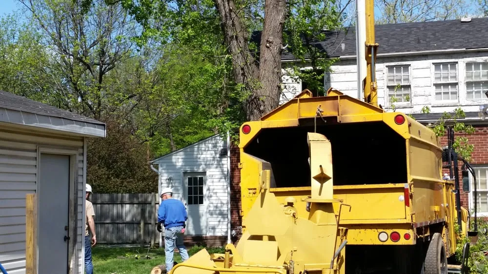 Custom garden landscaping for outdoor upgrades across Cottage Hills, IL - Madison County Tree Service