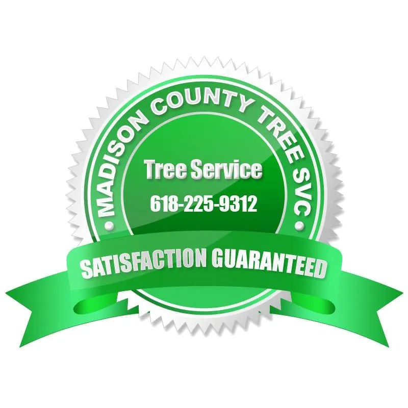 Reliable yard maintenance near you in Cottage Hills, IL by Madison County Tree Service