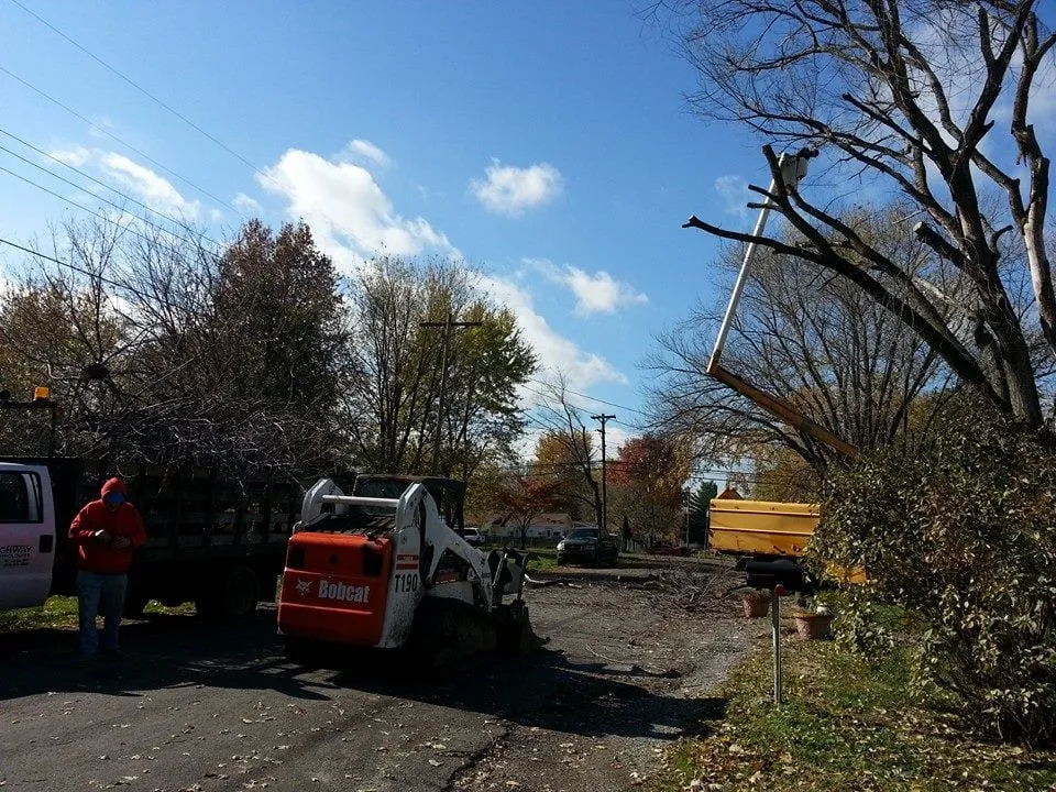 Professional lawn mowing service for homes in Cottage Hills, IL by Madison County Tree Service