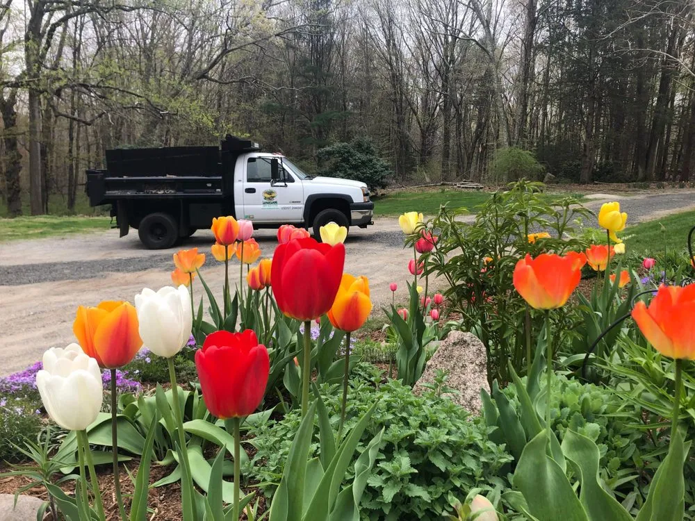 Custom residential landscaping experts serving Madison, CT - Madison Earth Care