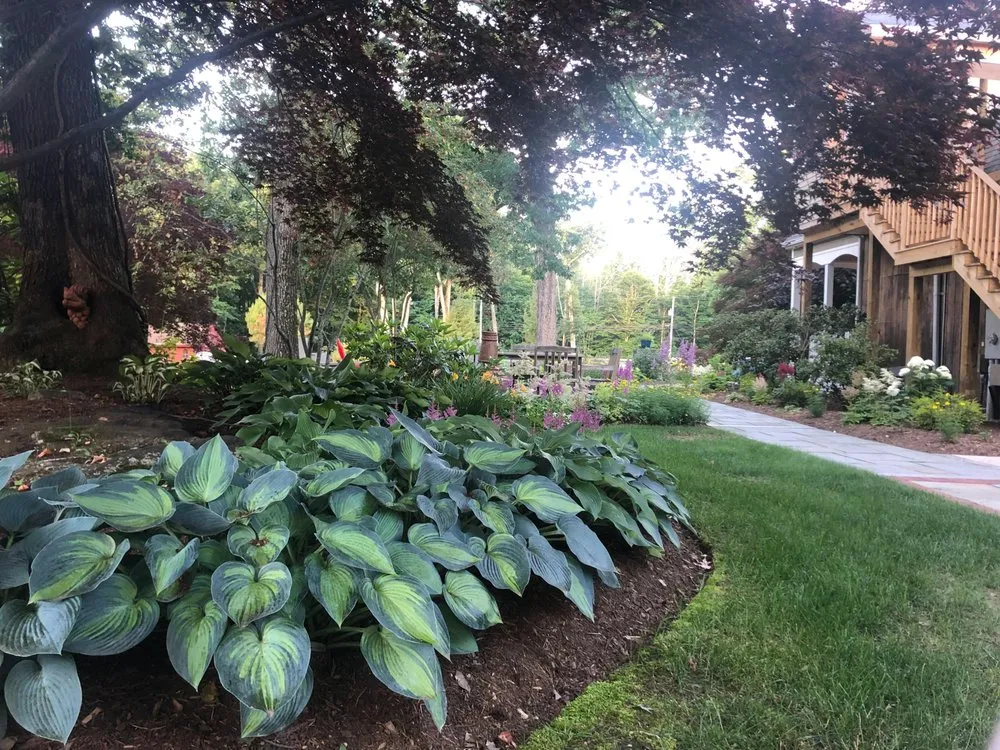 Trusted landscaping services for homes across Madison, CT - Madison Earth Care