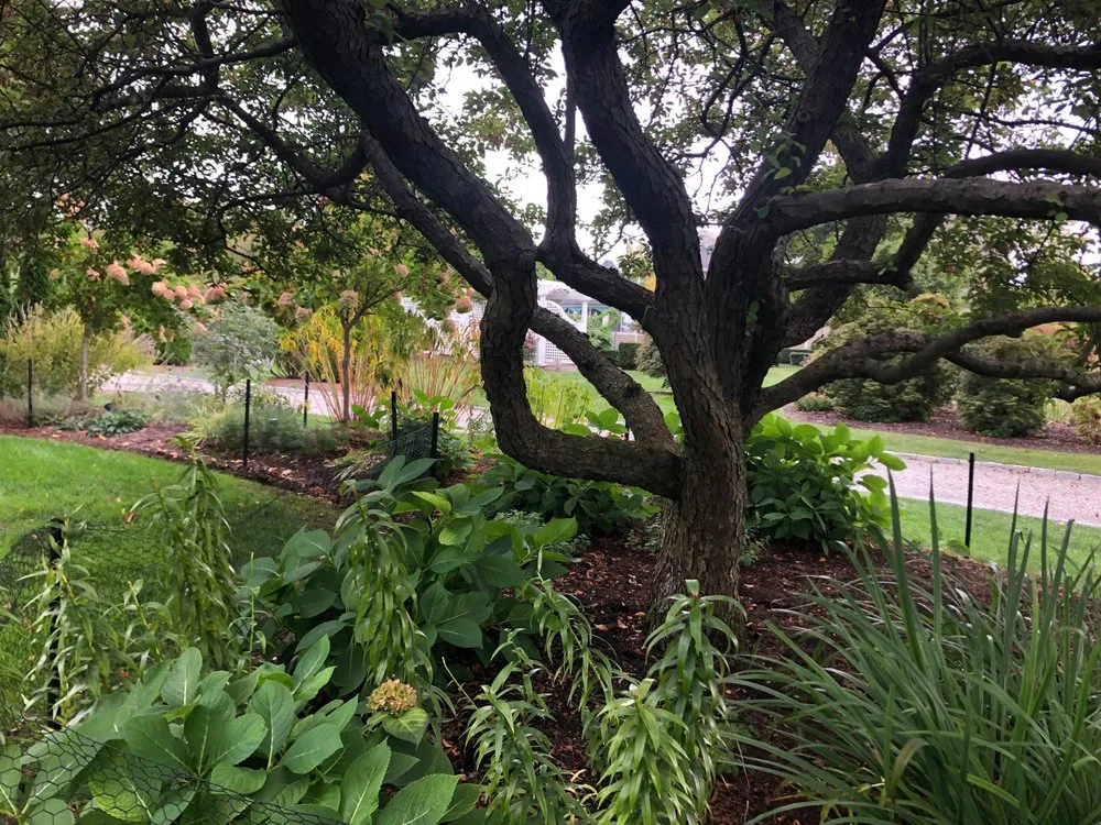 Expert landscape installation in Madison, CT by Madison Earth Care