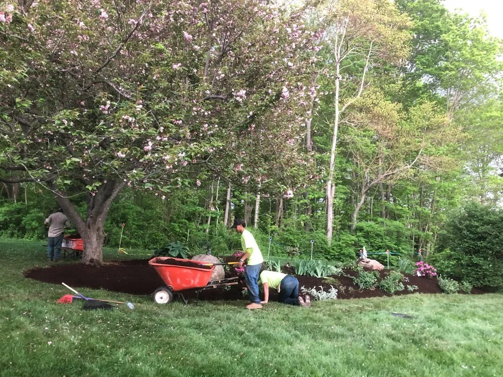 Professional yard cleanup service for residential properties in Madison, CT by Madison Earth Care