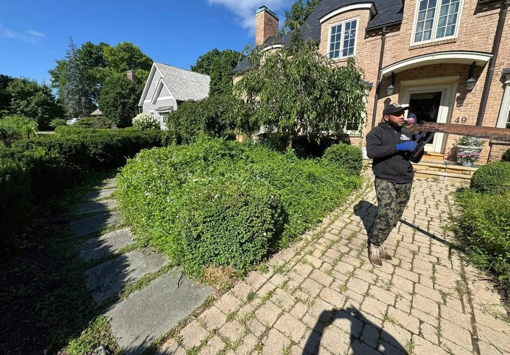 Trusted yard cleanup service for year-round maintenance in Madison, WI by Madison Hardscape