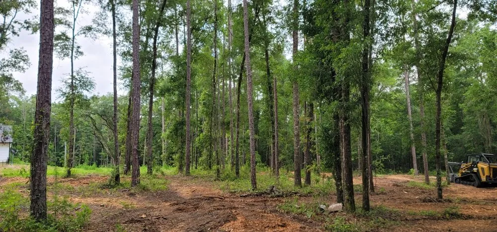 Trusted yard cleanup service experts serving Madison, FL - Madison land clearing & Brush Mulching