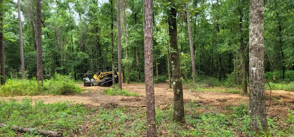 Custom lawn care service experts serving Madison, FL - Madison land clearing & Brush Mulching