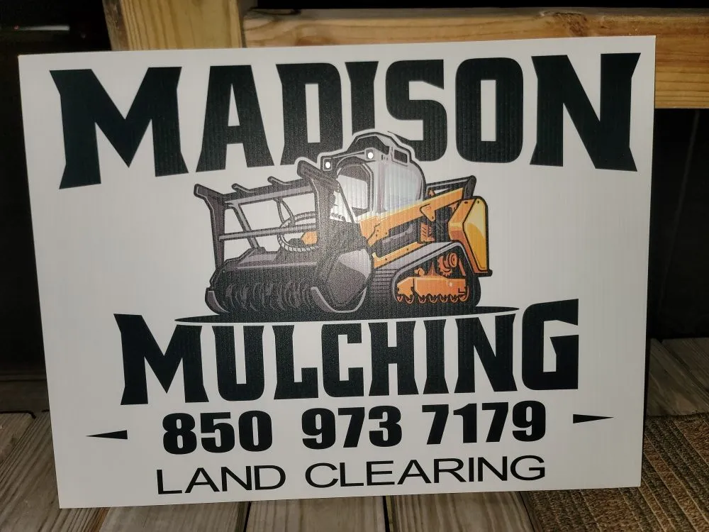 Top-rated yard cleanup service for homes in Madison, FL by Madison land clearing & Brush Mulching