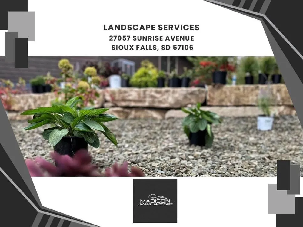 Trusted yard cleanup service in Sioux Falls, SD - Madison Lawn & Landscape