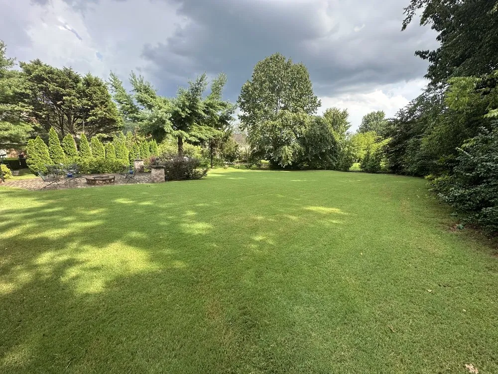 Affordable landscaping services in Madison, AL - Madison Lawn Solutions