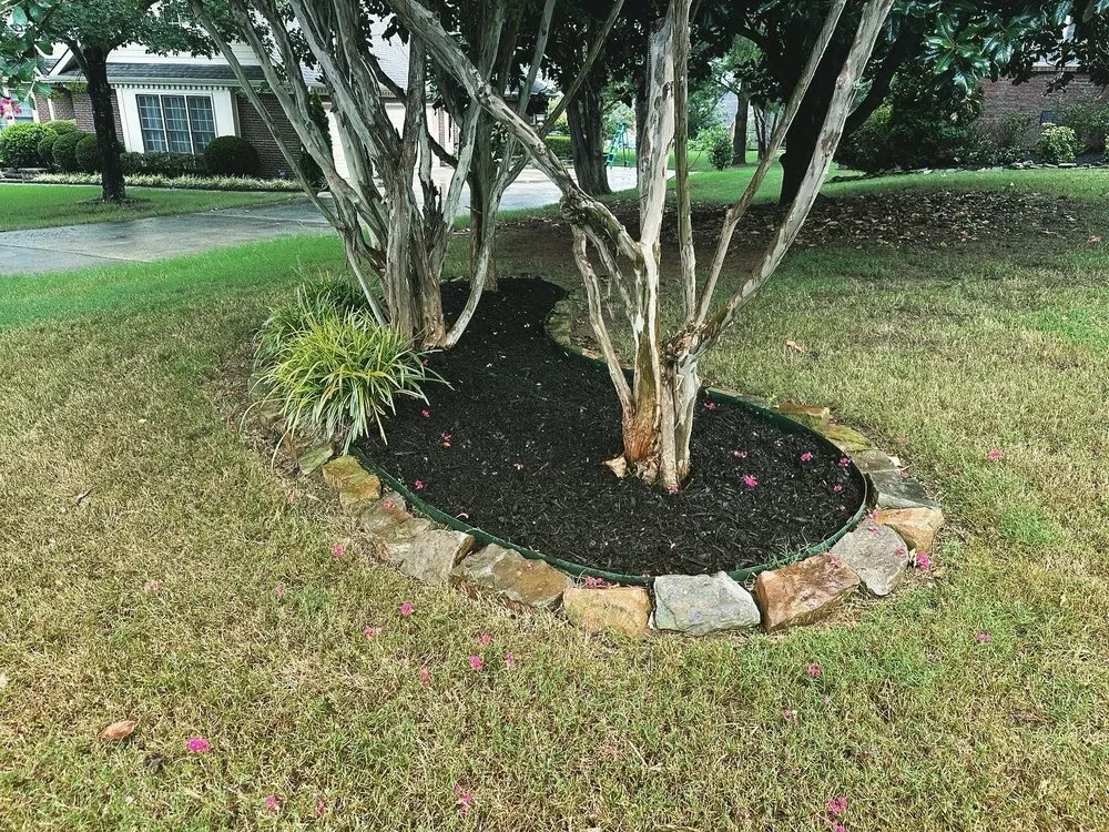 Local lawn mowing service in Madison, AL - Madison Lawn Solutions