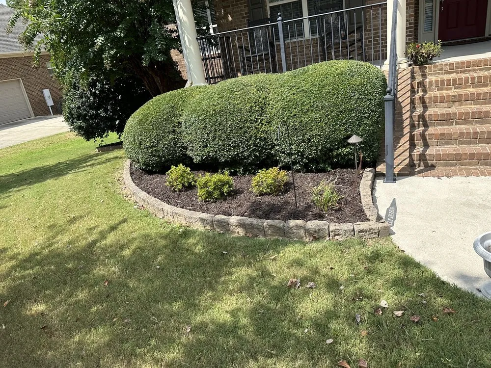 Top-rated outdoor landscaping for year-round maintenance in Madison, AL by Madison Lawn Solutions