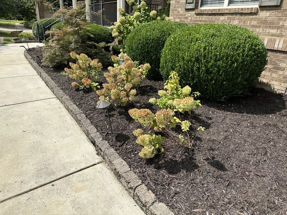 Local lawn care service experts serving Madison, AL - Madison Lawn Solutions