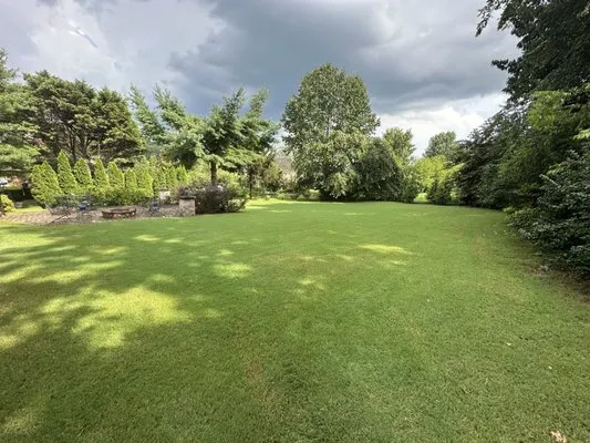 Madison Lawn Solutions Logo