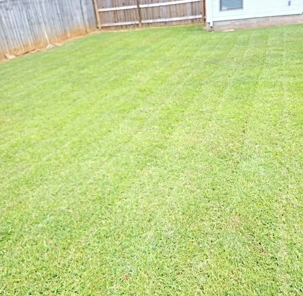 Local yard maintenance for homes across Madison, AL - Madison Lawncare and Home Maintenance