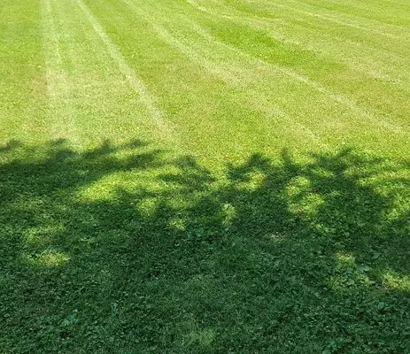 Madison Lawncare and Home Maintenance Logo