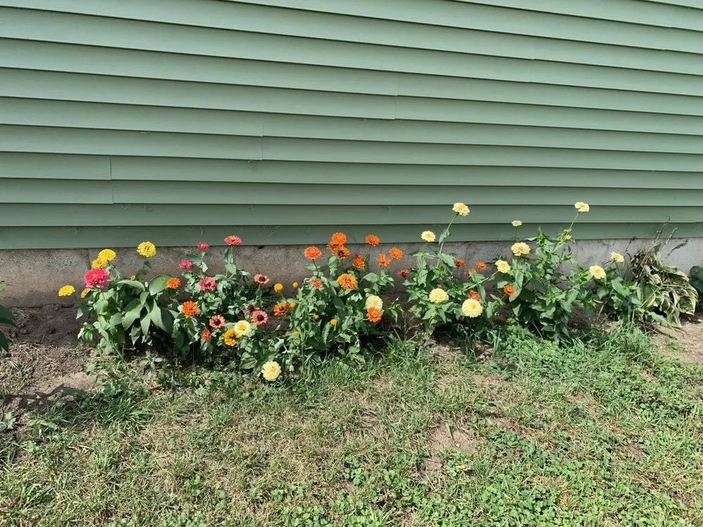 Expert garden landscaping experts serving Verona, WI - Madison Top Soil