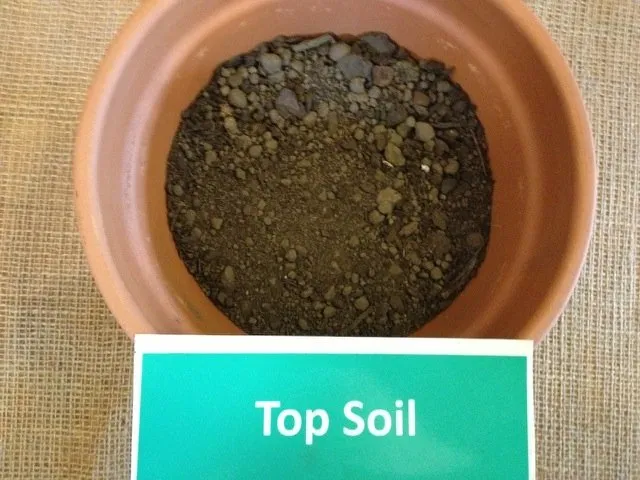 Professional yard maintenance in Verona, WI by Madison Top Soil