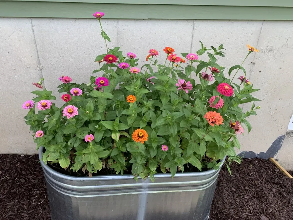 Expert yard cleanup service in Verona, WI - Madison Top Soil