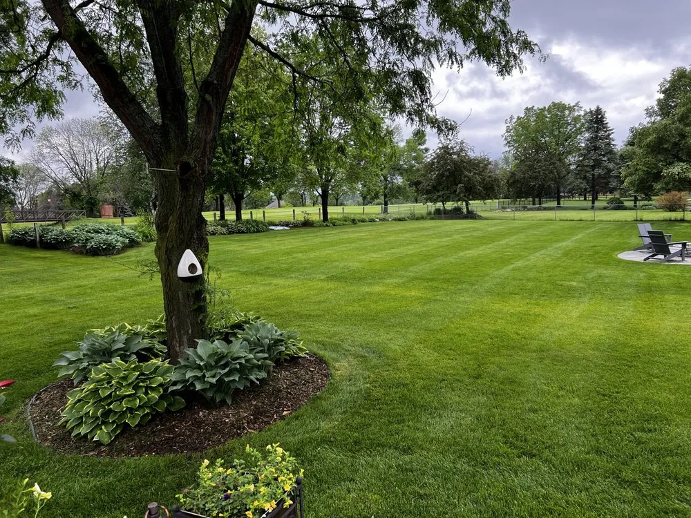 Professional yard maintenance for residential properties across Stillwater, MN - Madisons Landscapes & Snow