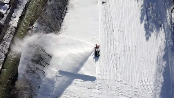 Madisons Landscapes & Snow Logo