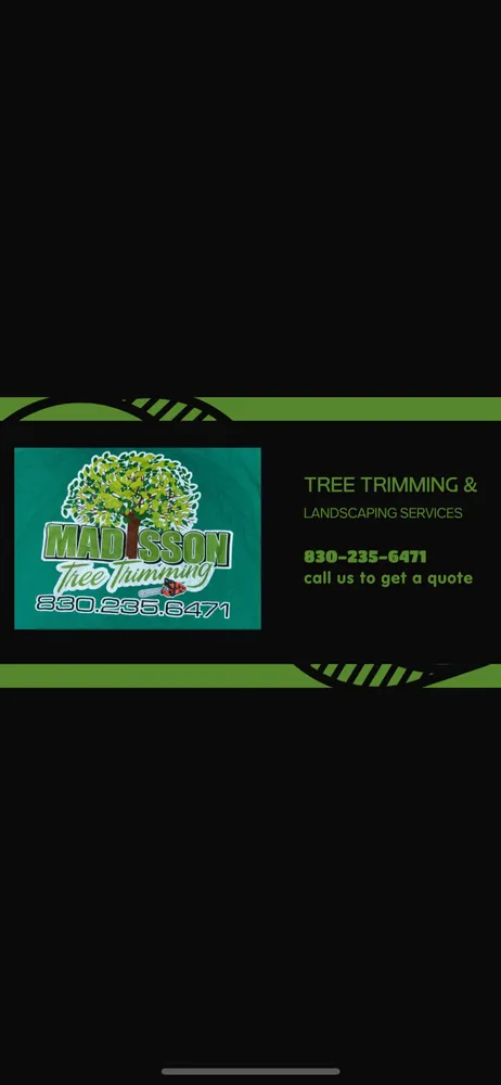 Affordable landscaping services for beautiful yards across Seguin, TX - Madisson Tree Trimming