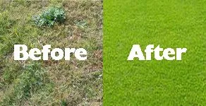 Local garden landscaping in Chandler, AZ - Madjak Pest, Weed And Turf Services