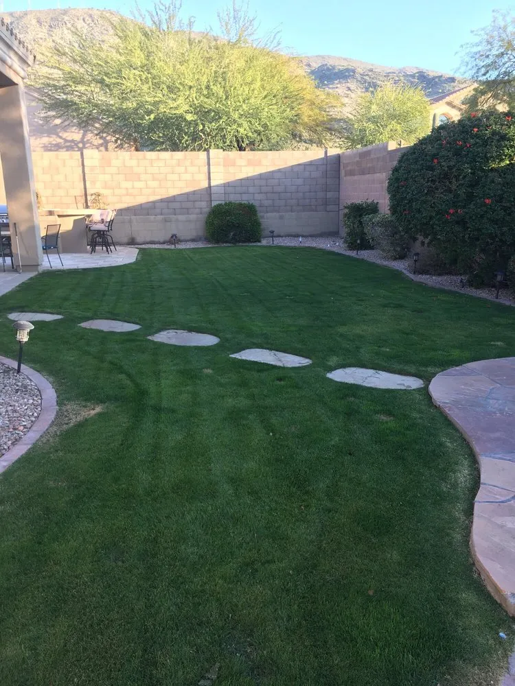 Professional landscape installation experts serving Chandler, AZ - Madjak Pest, Weed And Turf Services