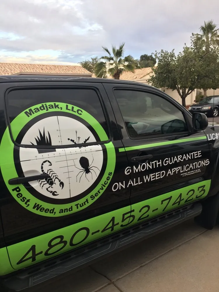 Local landscape design in Chandler, AZ - Madjak Pest, Weed And Turf Services