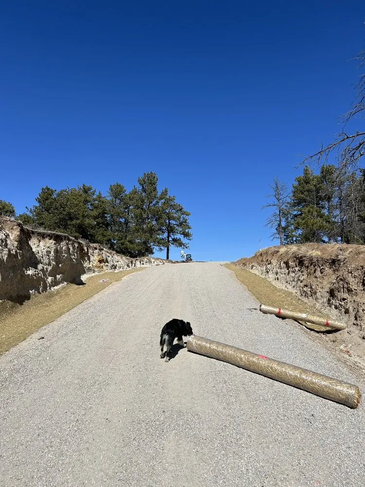 Custom yard cleanup service for outdoor upgrades in Castle Rock, CO by Madorin’s Dirtworks