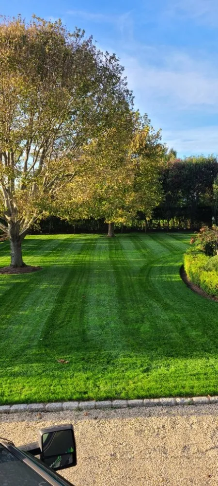 Trusted residential landscaping in Riverhead, NY - Madrid Landscaping Services