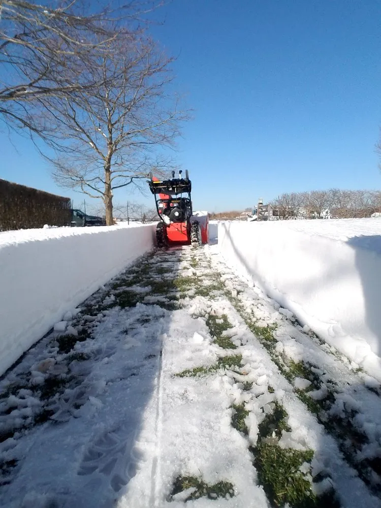 Trusted yard cleanup service in Riverhead, NY - Madrid Landscaping Services