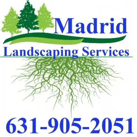Affordable yard cleanup service in Riverhead, NY by Madrid Landscaping Services
