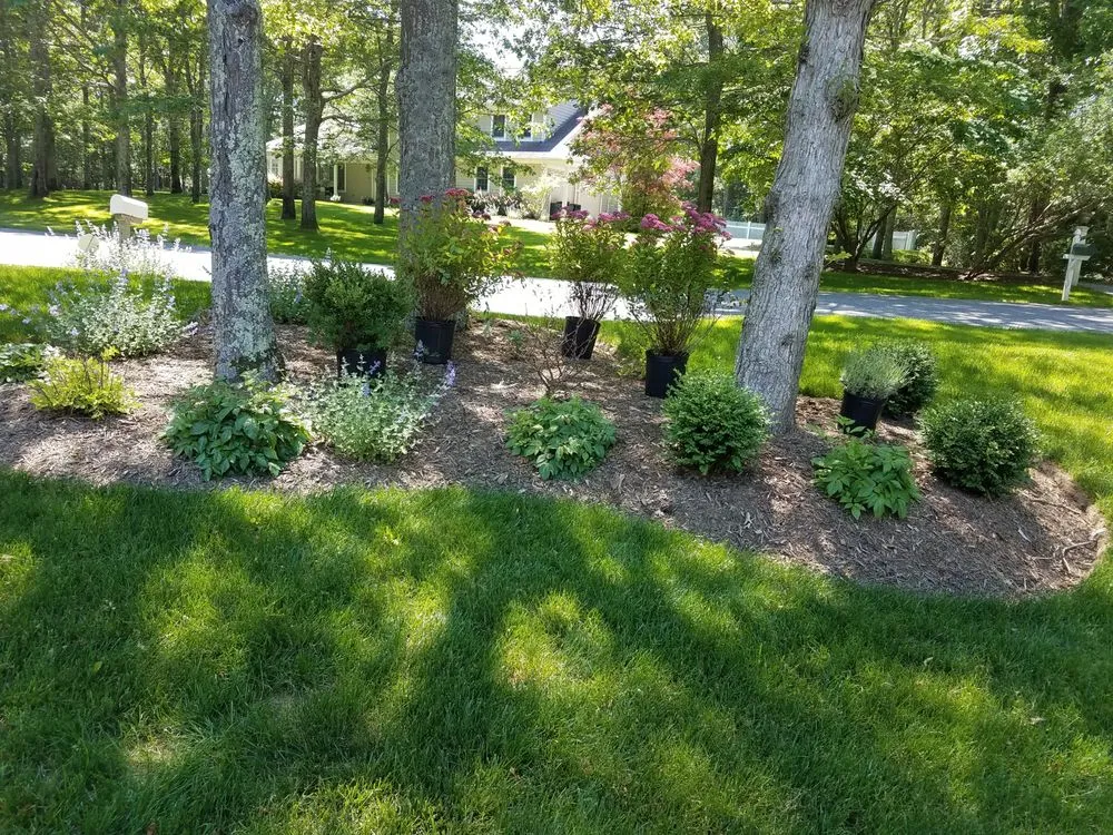 Local lawn care service in Riverhead, NY by Madrid Landscaping Services