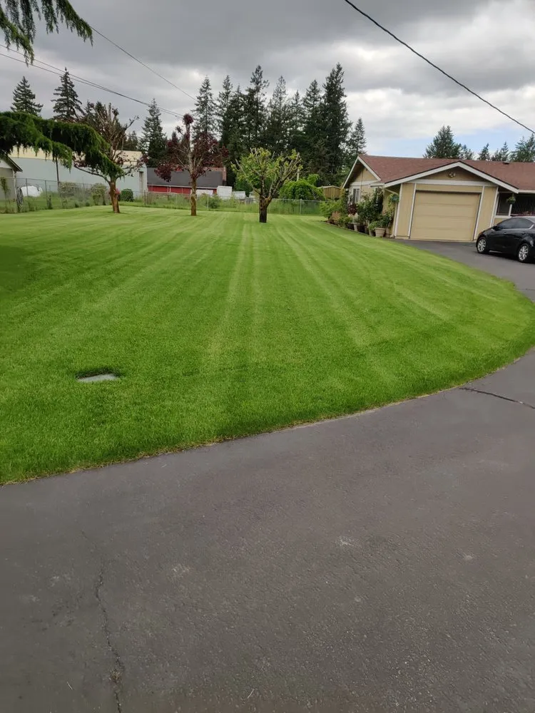 Top-rated garden landscaping in Tacoma, WA by Madrid Lawn Services