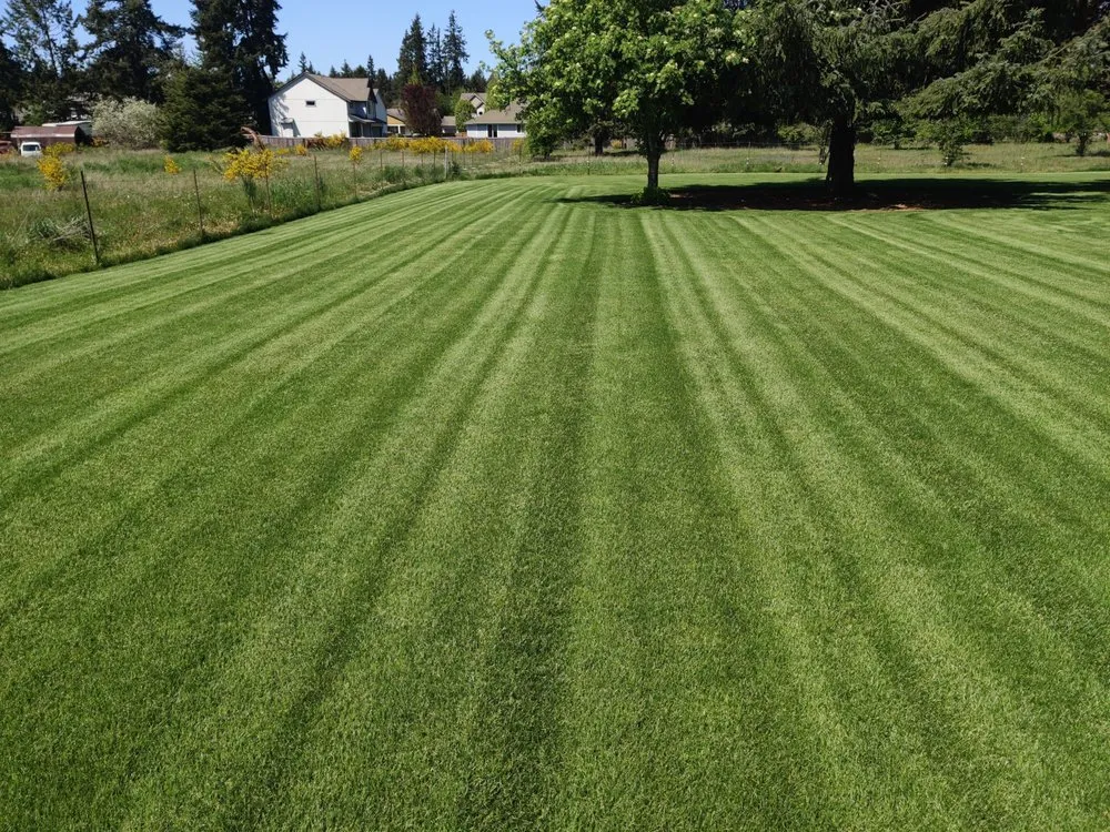 Professional landscape installation with custom design in Tacoma, WA by Madrid Lawn Services