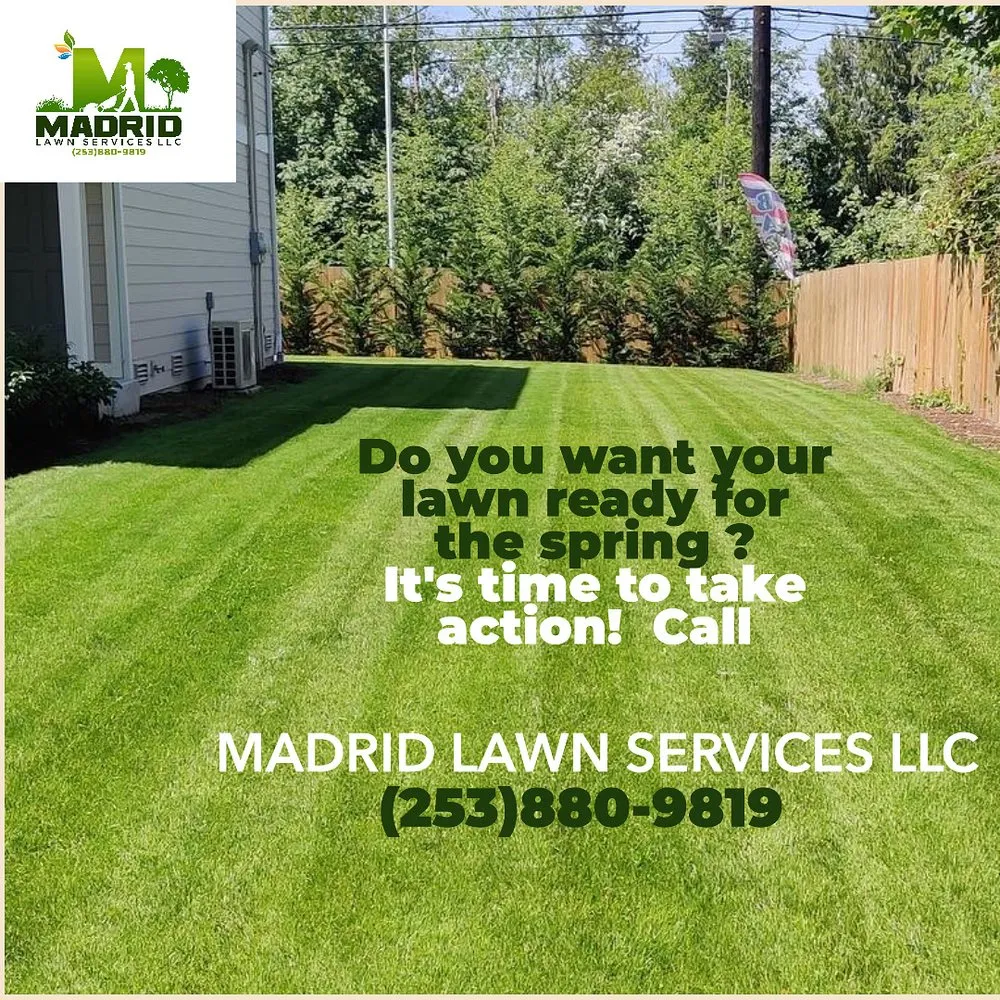 Top-rated landscape design experts serving Tacoma, WA - Madrid Lawn Services