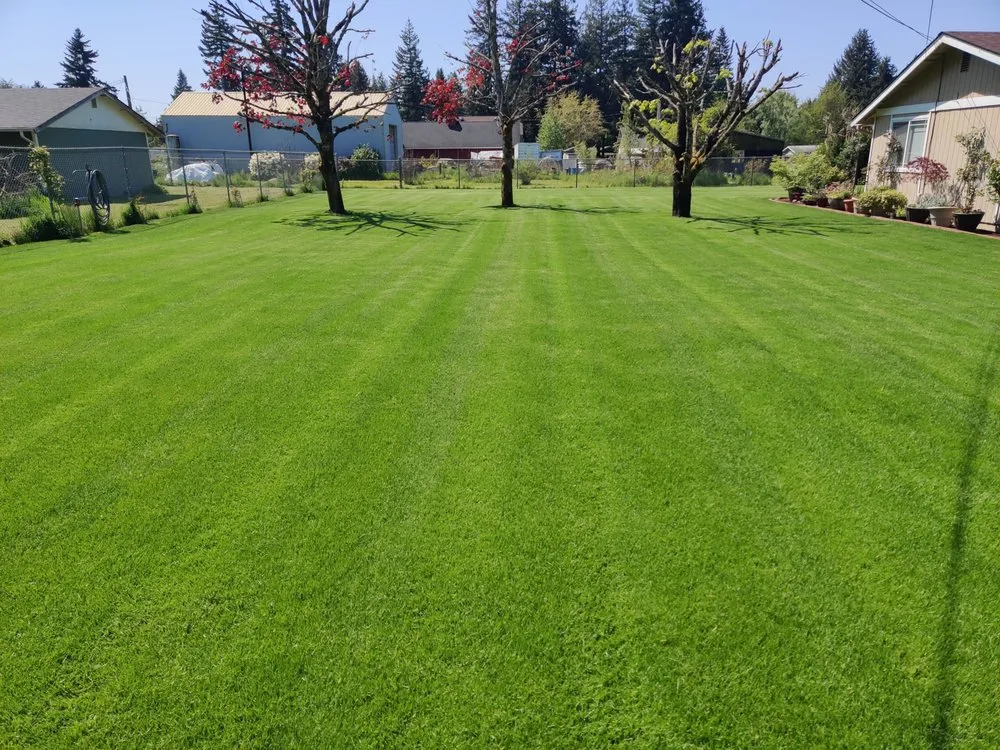 Professional lawn mowing service in Tacoma, WA - Madrid Lawn Services