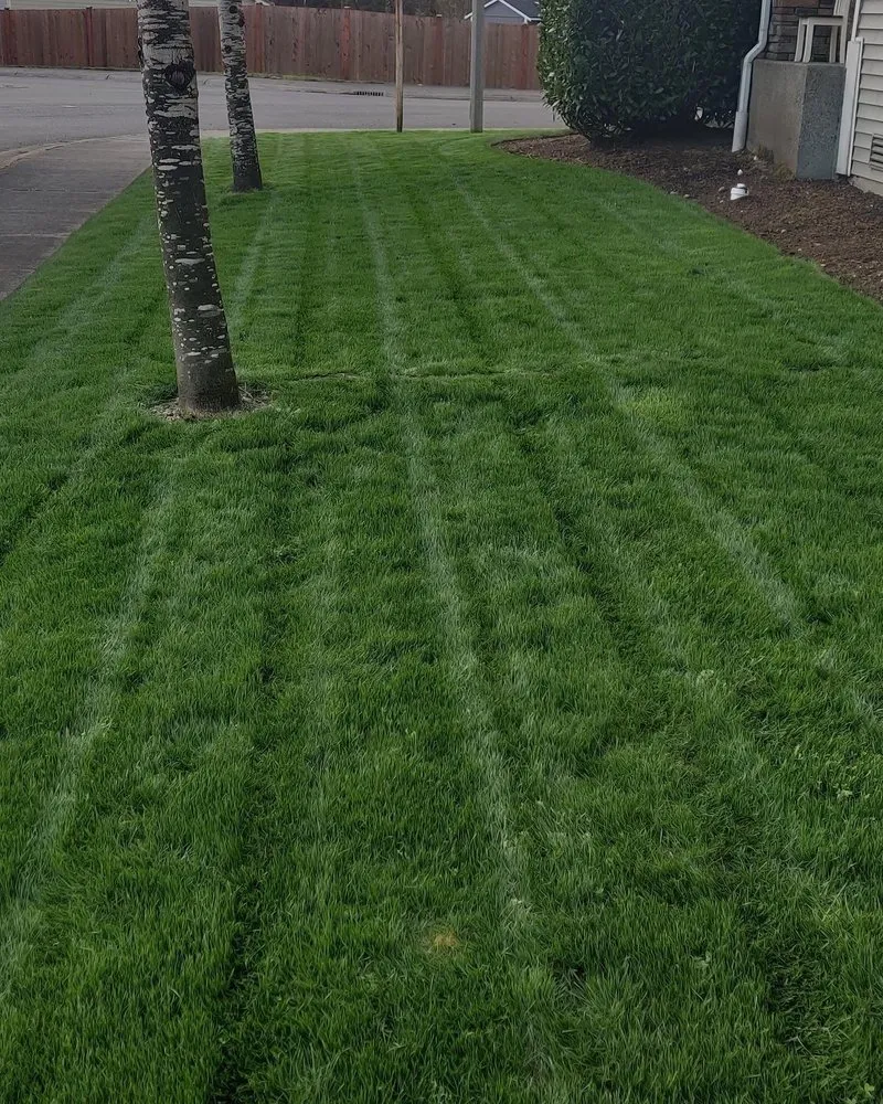 Reliable lawn care service in Tacoma, WA by Madrid Lawn Services