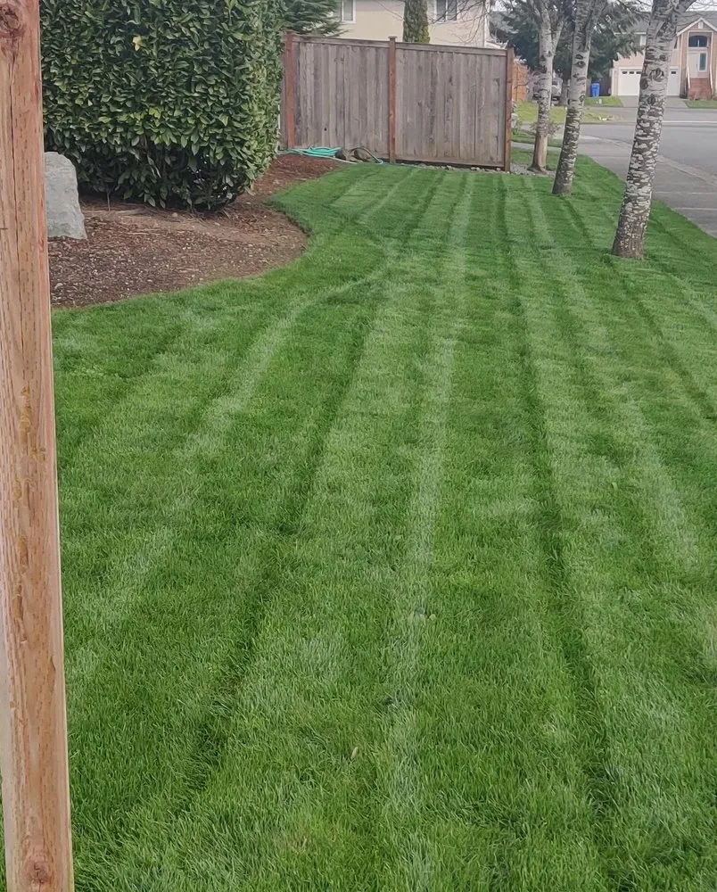Local outdoor landscaping in Tacoma, WA by Madrid Lawn Services