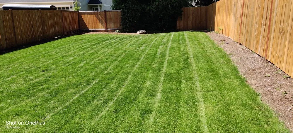 Expert landscape installation experts serving Tacoma, WA - Madrid Lawn Services