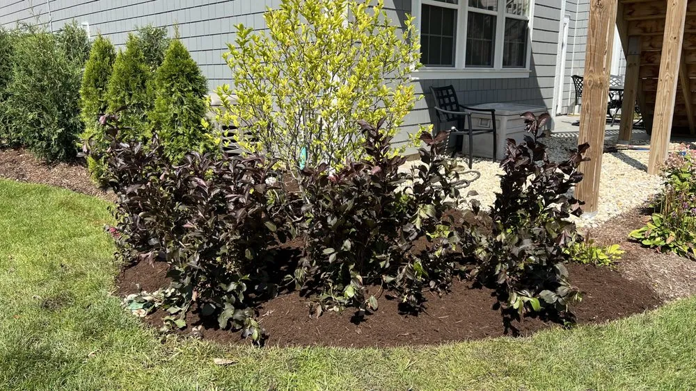 Custom outdoor landscaping for homes across Lombard, IL - Madrid’s Landscaping