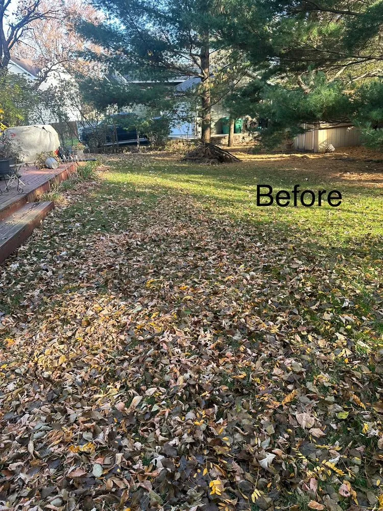 Reliable residential landscaping in Amarillo, TX by Madrigal Junk Removal