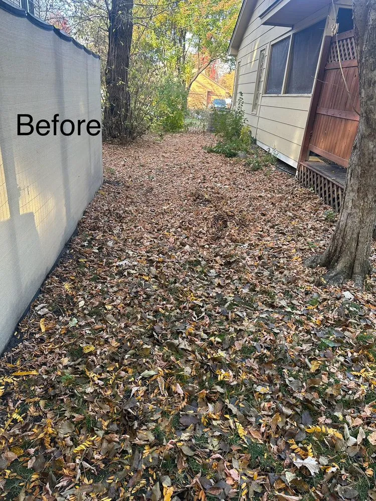 Expert lawn care service experts serving Amarillo, TX - Madrigal Junk Removal