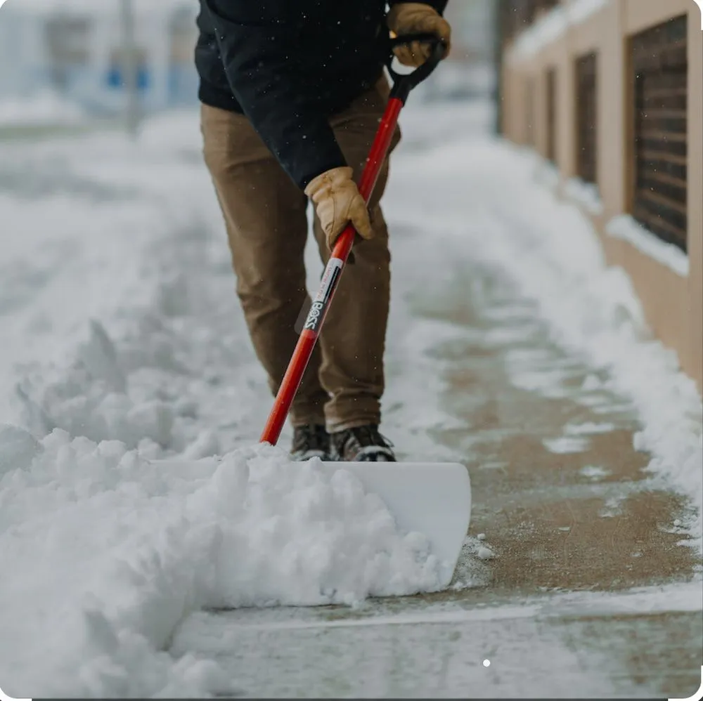 Expert landscape design in Amarillo, TX - Madrigal Junk Removal