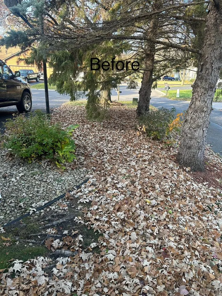 Custom yard maintenance in Amarillo, TX by Madrigal Junk Removal