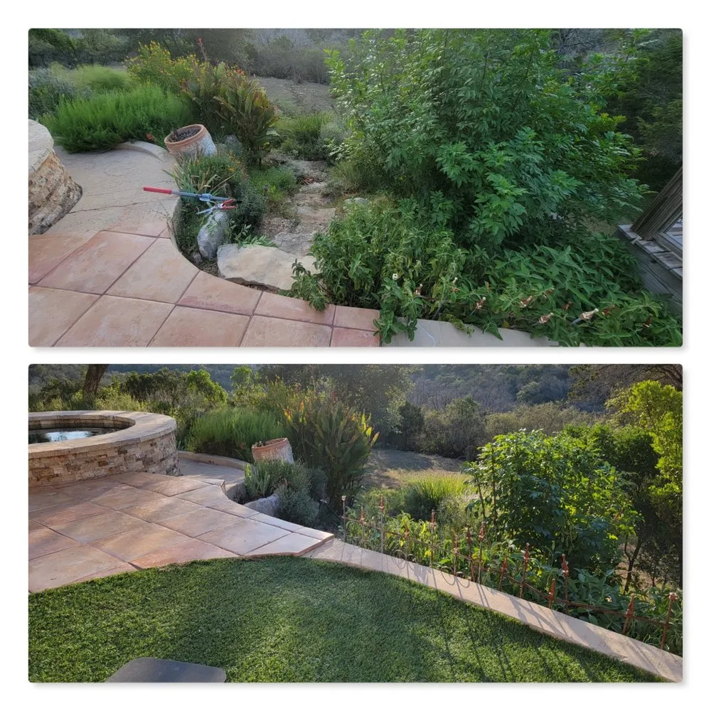 Affordable landscaping services in Amarillo, TX - Madrigal Junk Removal