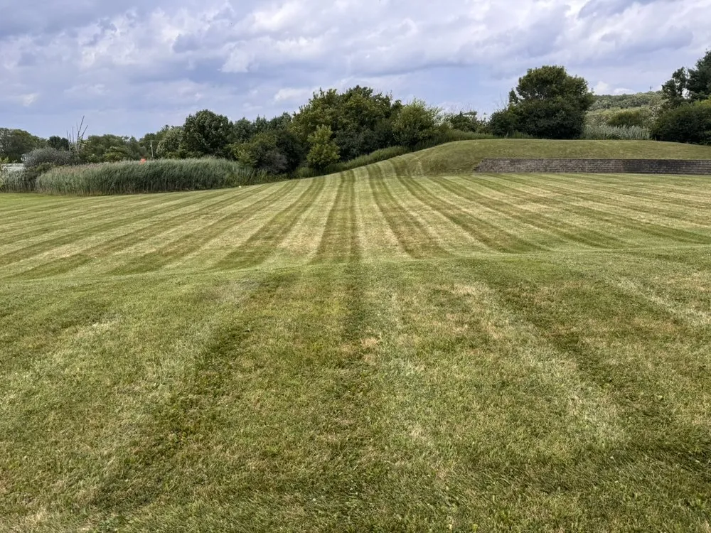 Local landscaping services for outdoor upgrades across Municipio de East Norriton, PA - Madriz Landscape
